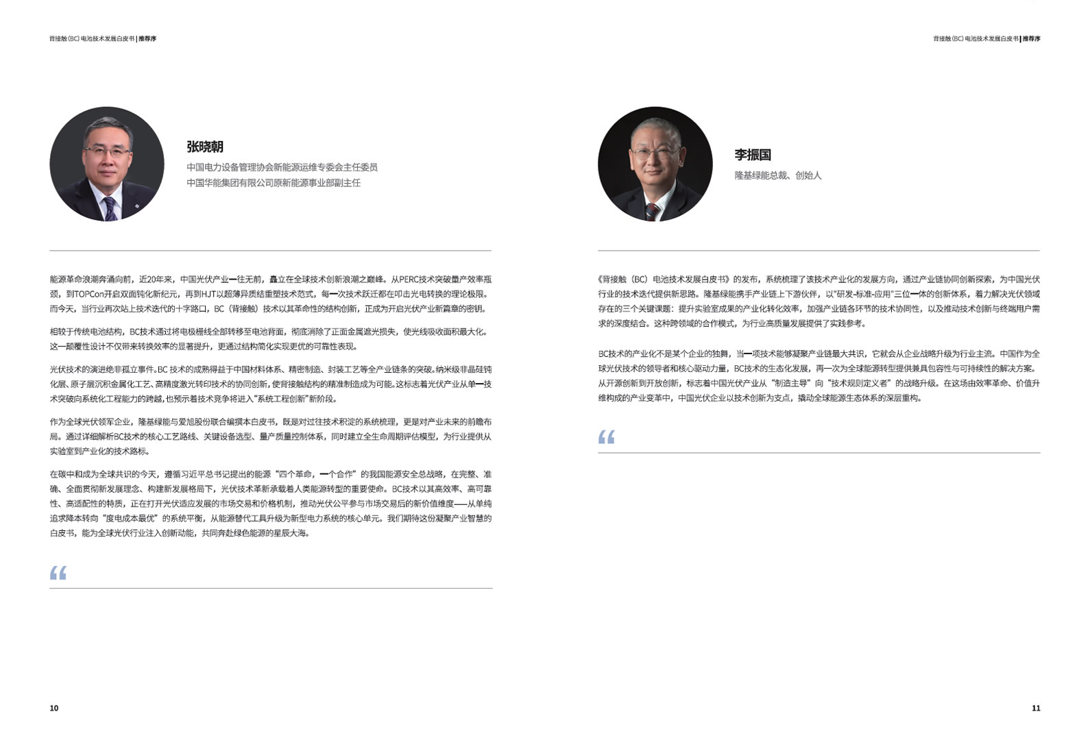 bc-technology-white-paper-05 背接触(BC)电池技术发展白皮书