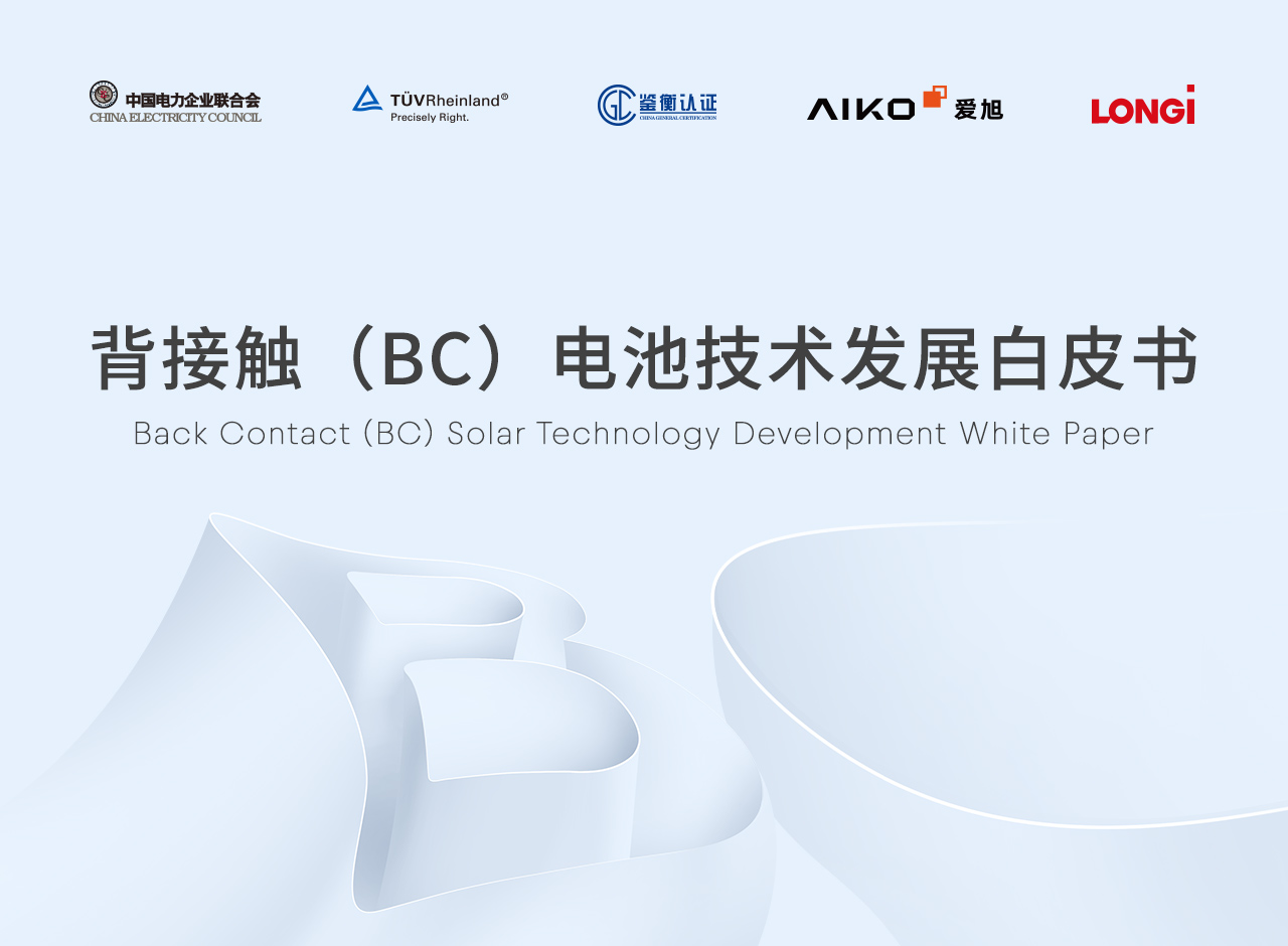 new-teck-bc-technology-white-paper-v3 白皮书