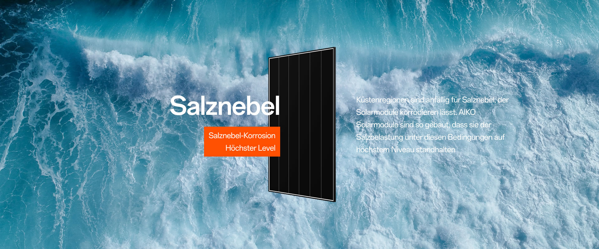 home-extreme-weather-salt-mist-de Salznebel