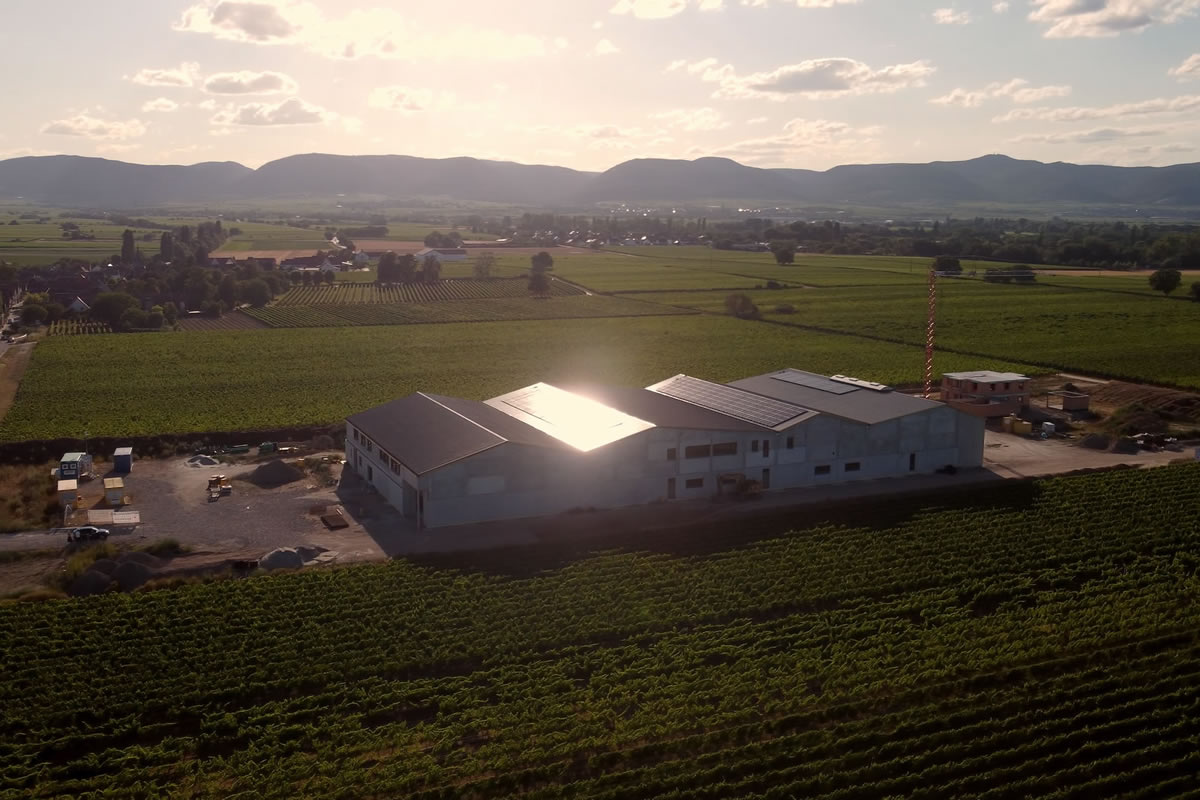 business-owners-v202511-case-germany-winery bg-img