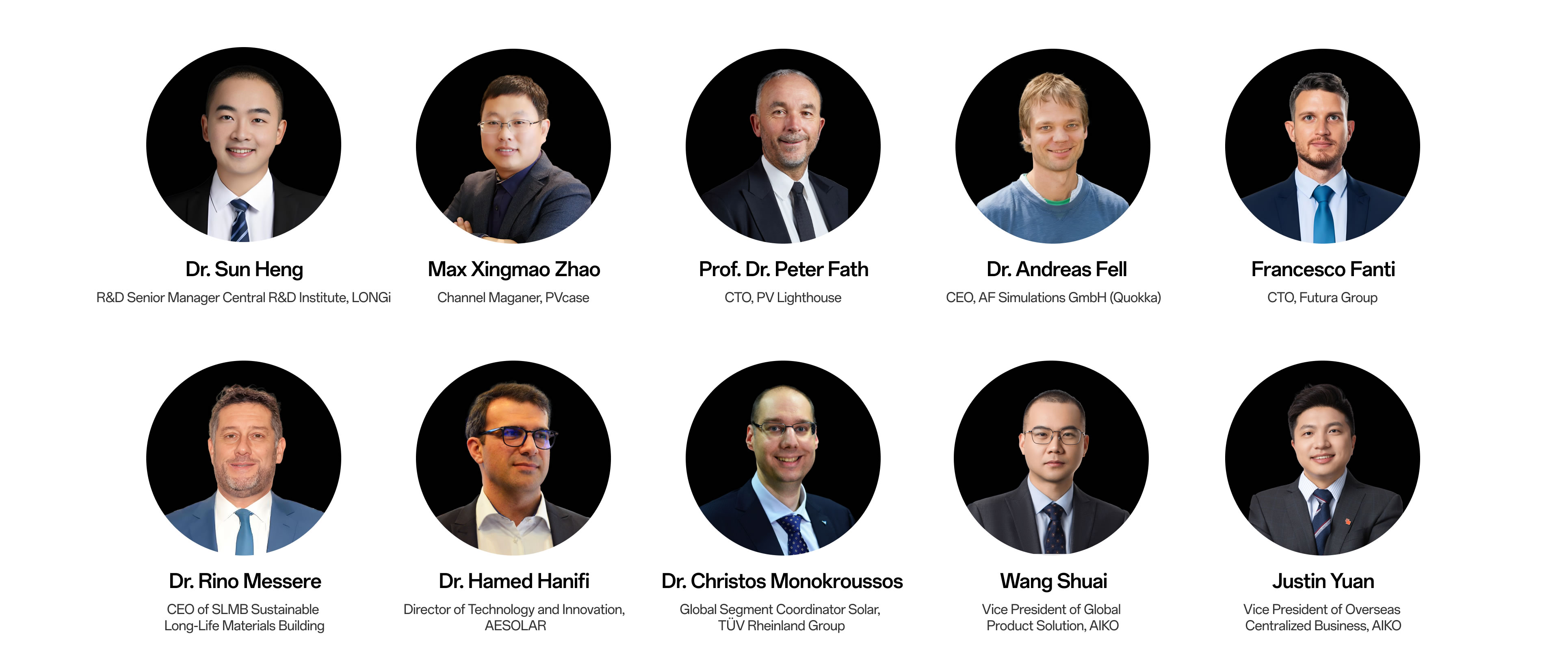 bifi-pv-2025-experts-3-en /en/topic-bifi-pv-2025/大咖云集