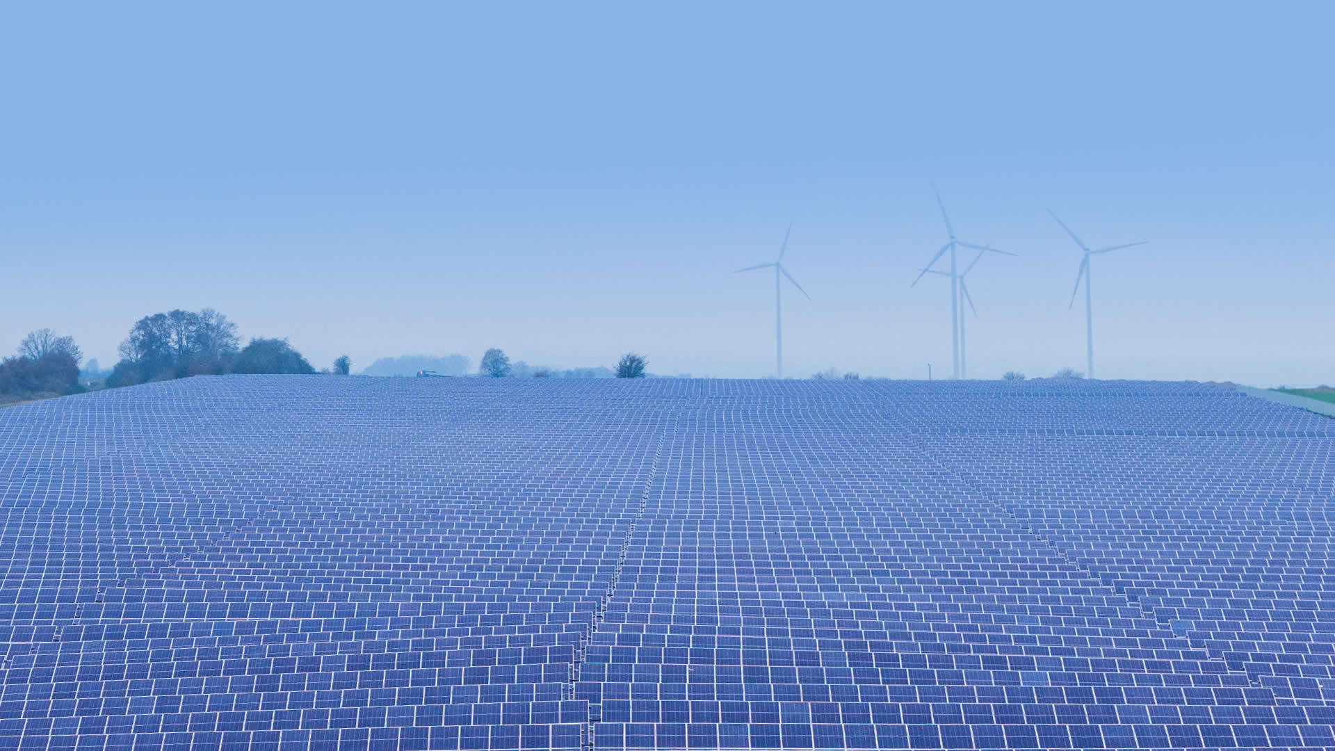 case-germany-merbitz-right AIKO ABC 技术赋能德国 Merbitz 72 MW 集中式光伏项目