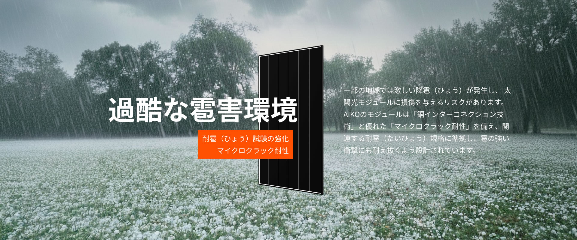 home-extreme-weather-hailstorm-jp 過酷な雹害環境